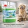 Sanjoma Germitol Fregasuelos con Árbol de Té Repelente de Insectos, 5 L